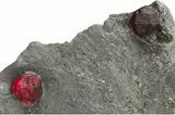 Plate of Four Red Embers Garnets in Graphite - Massachusetts #225941-1